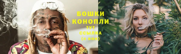 гидра Балабаново