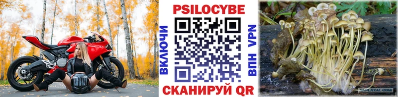 Псилоцибиновые грибы ЛСД  Котельниково 