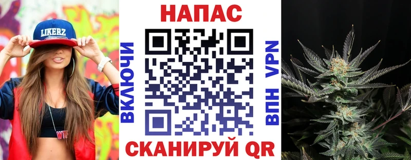 наркота  Котельниково  Канабис MAZAR 